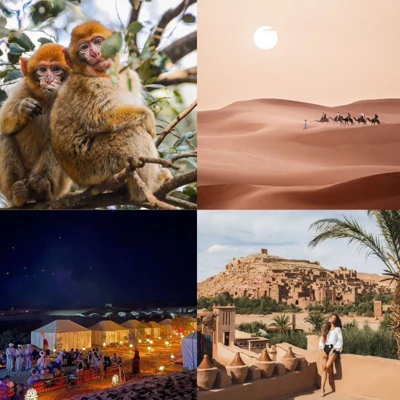 4 Days Tour Fes to Marrakech